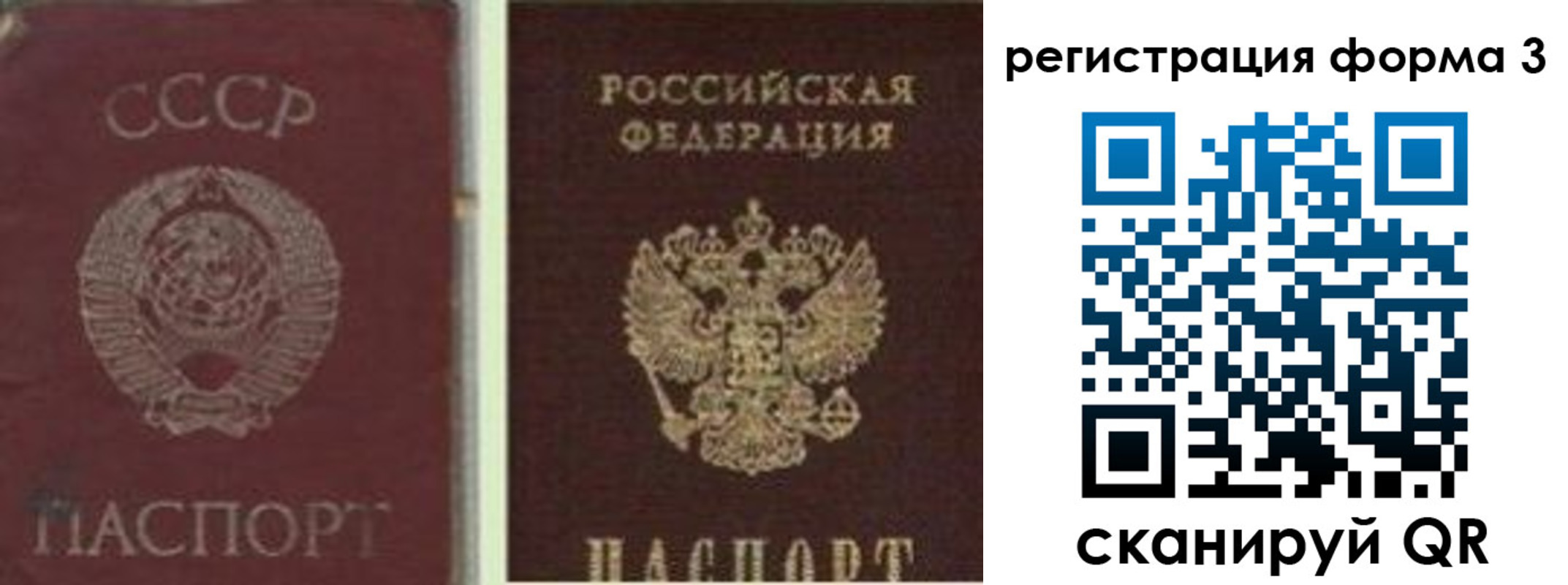 прописка для школы в Светлограде